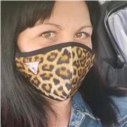 Insegnante appassionata di inglese si offre per lezioni della lingua inglese